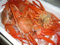 �H�ރC���[�W