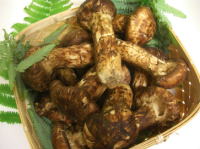 �����C���[�W